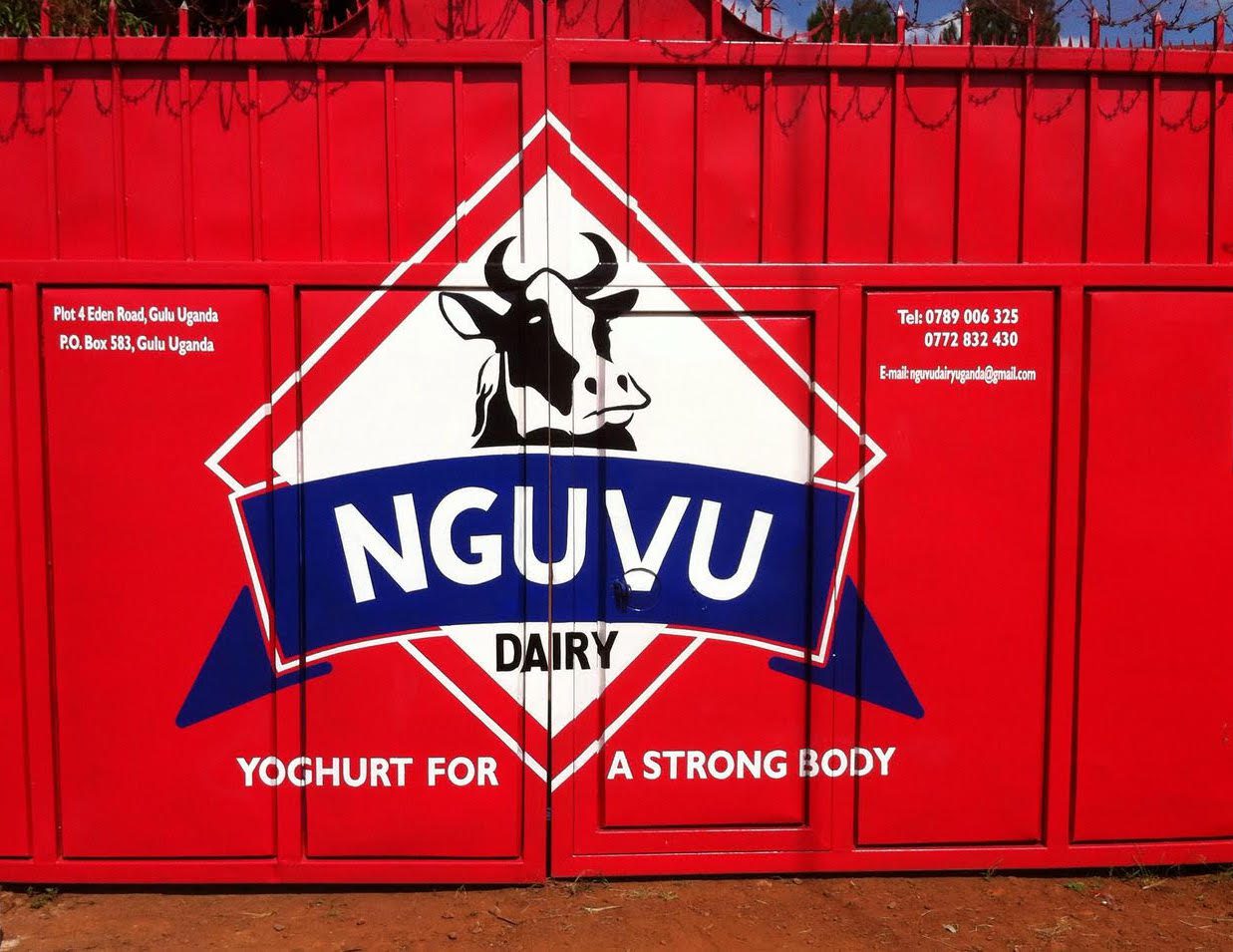 nguvu-gate