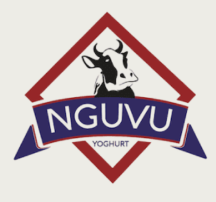 TMP Nguvu Dairy Page Mockup